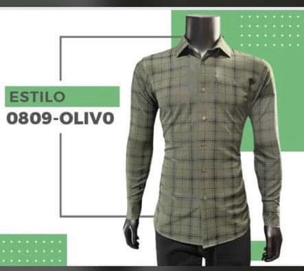 Camisa caballero